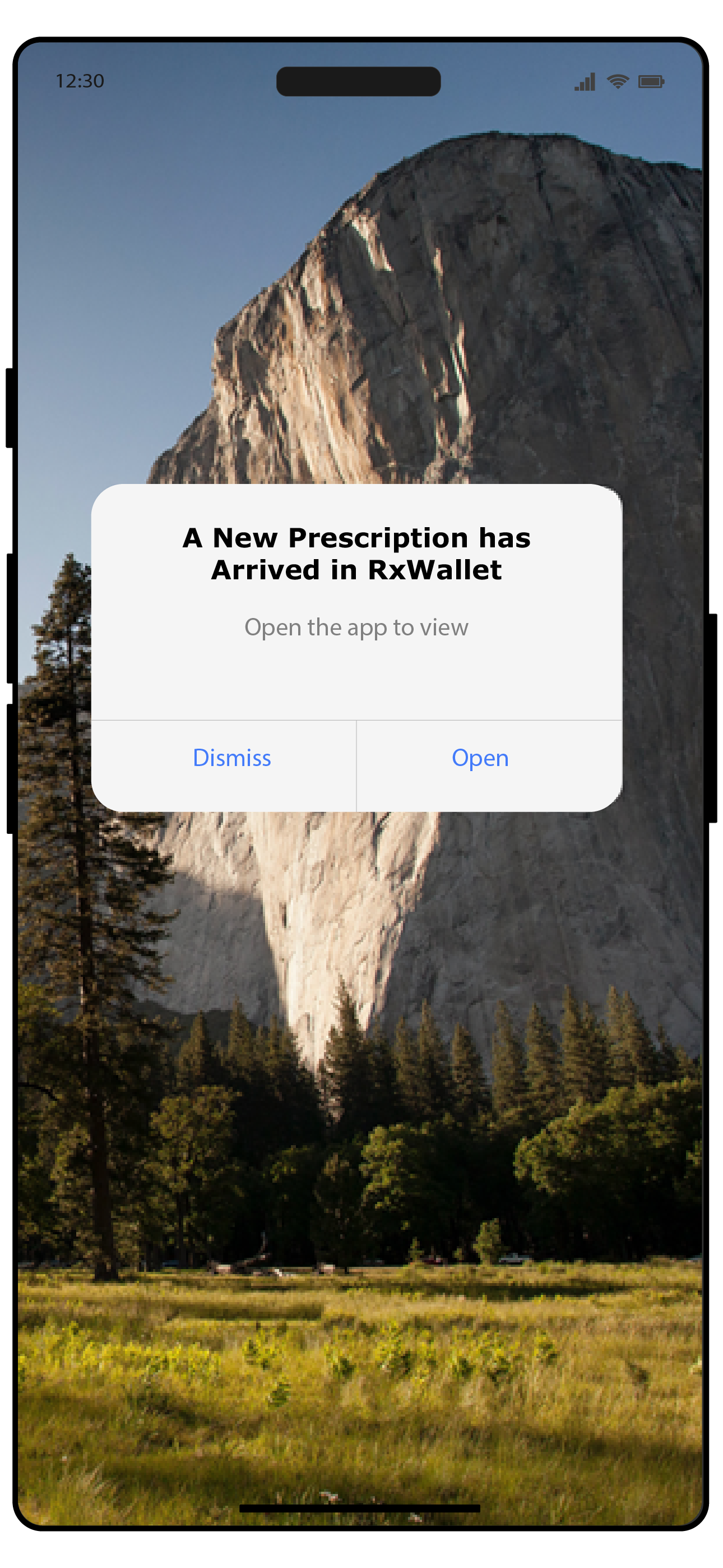 Scripius Rx Wallet RxWallet The Discount Prescription Pharmacy Drug Shopper